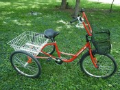 ECOTRIKE - BG