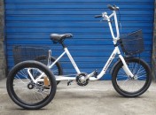 ECOTRIKE - BG